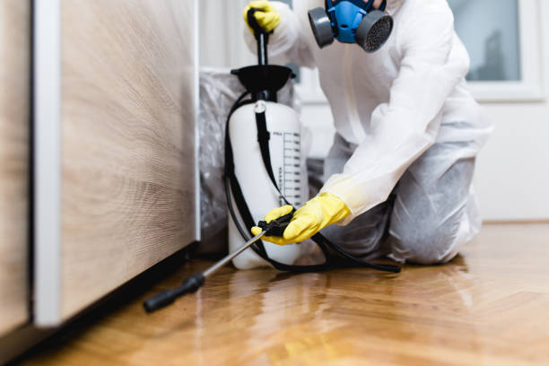 Best Wildlife Control Services  in Phenix City, AL
