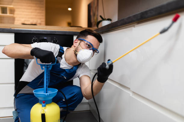 Best Termite Control Services  in Phenix City, AL