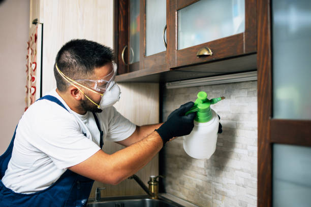 Best Bed Bug Extermination  in Phenix City, AL