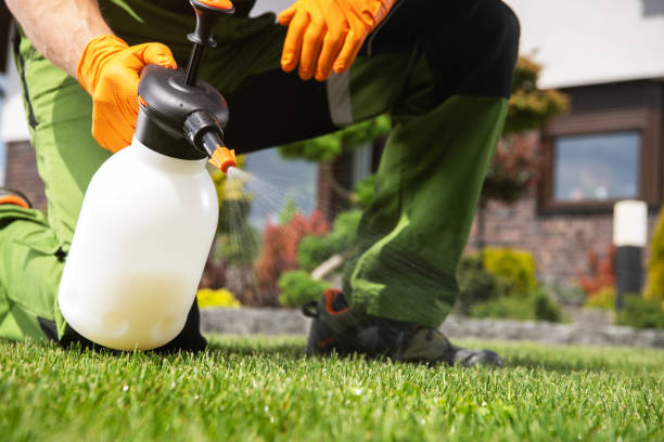 Best Pest Removal Services  in Phenix City, AL