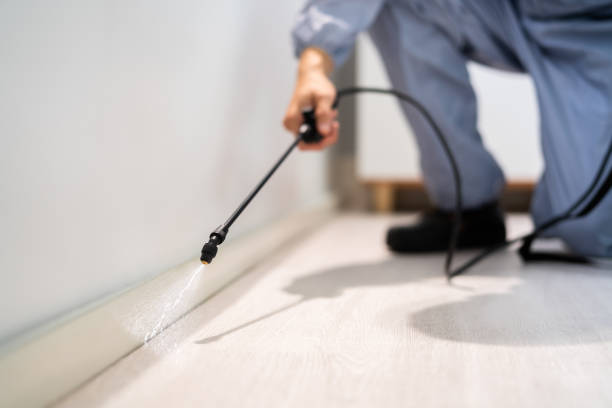Trusted Phenix City, AL Pest Control Experts