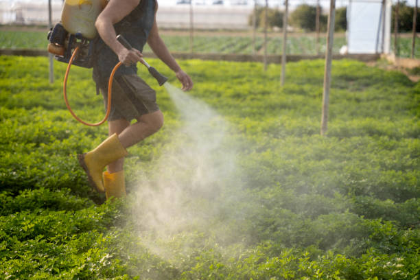 Best Mosquito Control Services  in Phenix City, AL
