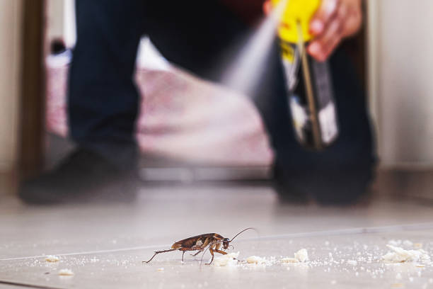 Best Commercial Pest Control Services  in Phenix City, AL