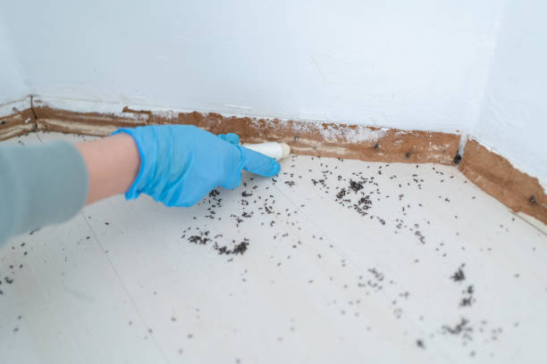 Best Pest Inspection Near Me  in Phenix City, AL